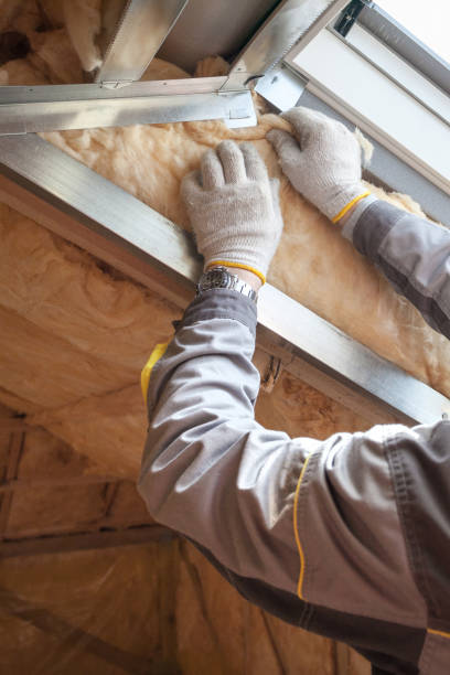 Best Commercial Insulation Contractor  in Laguna Park, TX