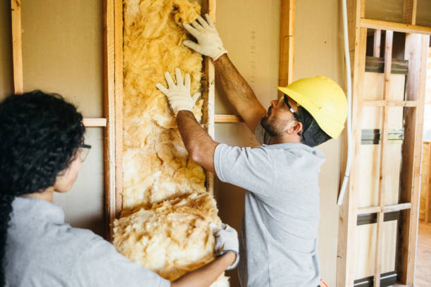 Best Insulation Inspection Services  in Laguna Park, TX