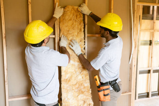 Best Spray Foam Insulation  in Laguna Park, TX